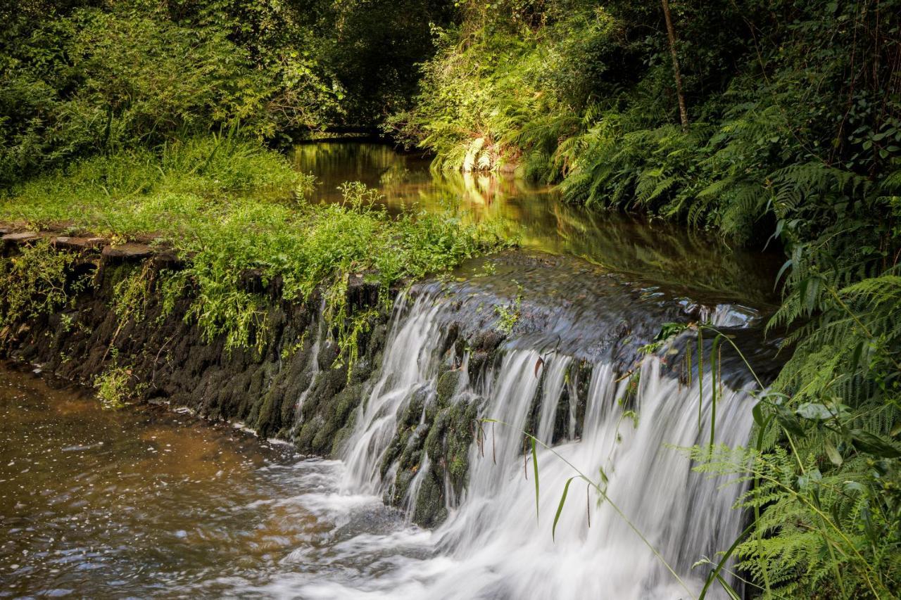 Be&See in River Ovar Exterior foto